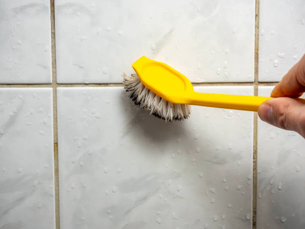 Best Mold Cleaning Services  in Urbandale, IA
