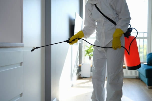 Best Professional Mold Removal  in Urbandale, IA
