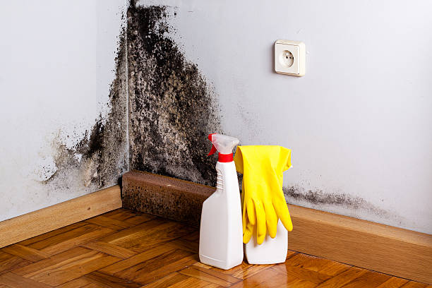 Best Mold Testing  in Urbandale, IA